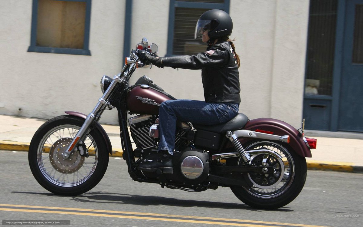 Dyna Street Bob