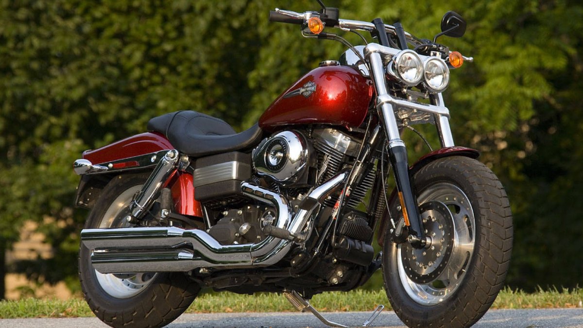 Harley fat Bob
