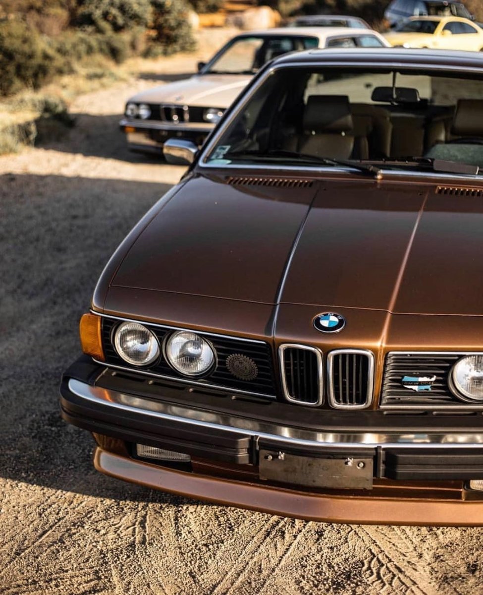 BMW m635csi / m6 (e24)