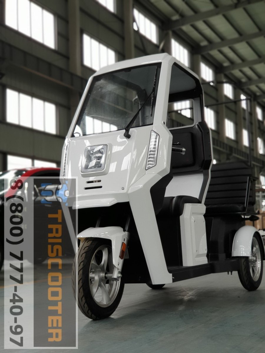 Грузовой трицикл Шмель 250 профи