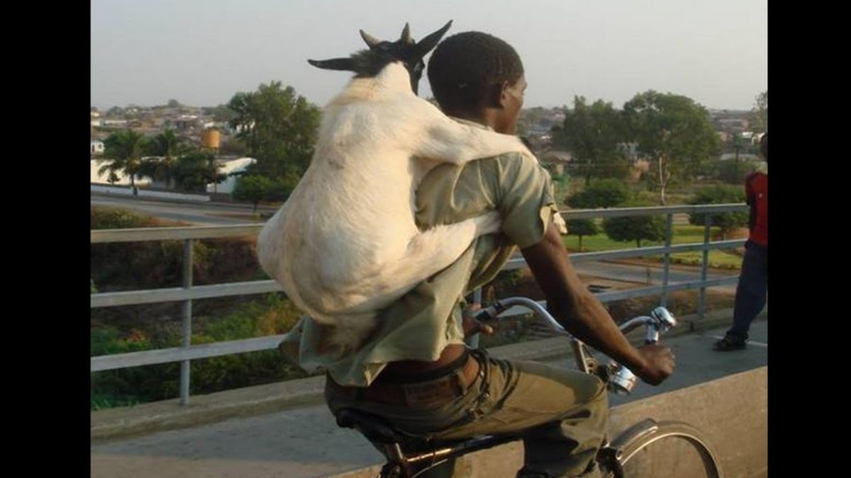 Человек коза