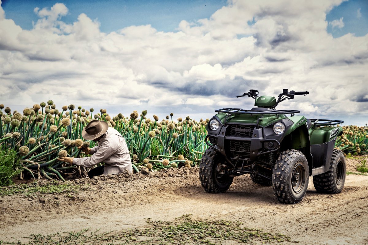 Квадрика Kawasaki Brute Force 300