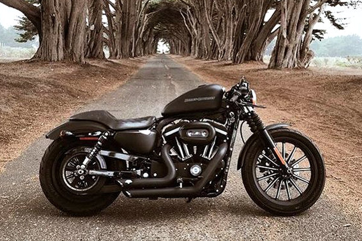 Harley Davidson Sportster 883 кастом