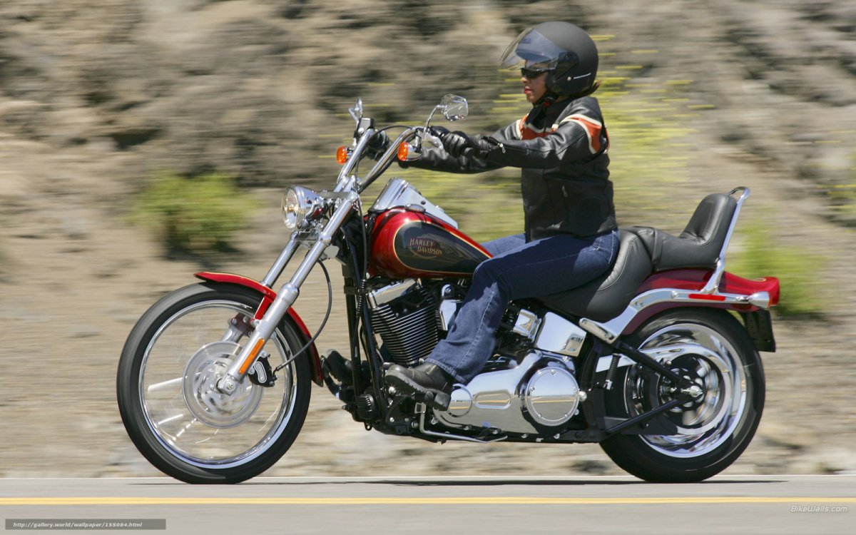 Harley Davidson Softail Custom 2007