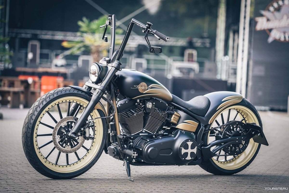 Fat boy Harley-Davidson Custom 2019