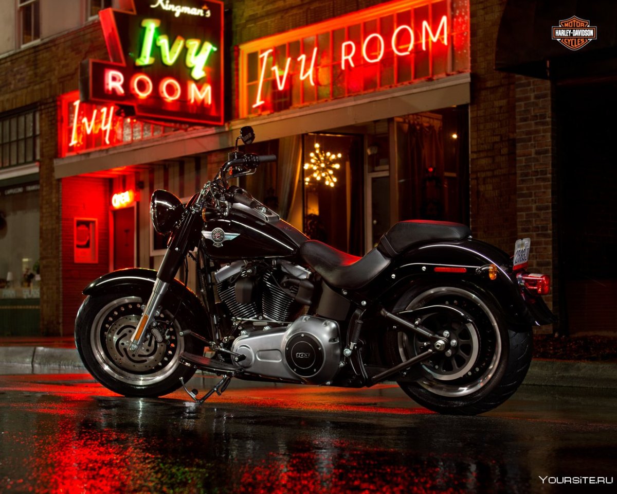 Harley Davidson Fatboy Special 2013