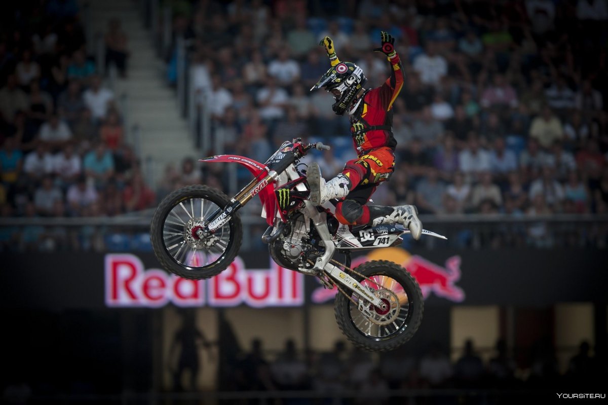 Red bull x Fighters игра