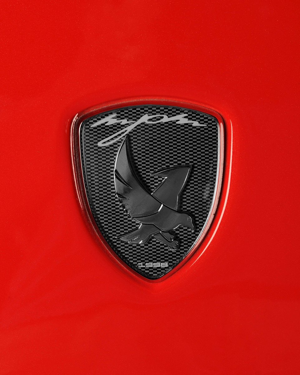Логотип машины Аквила ТАГАЗ