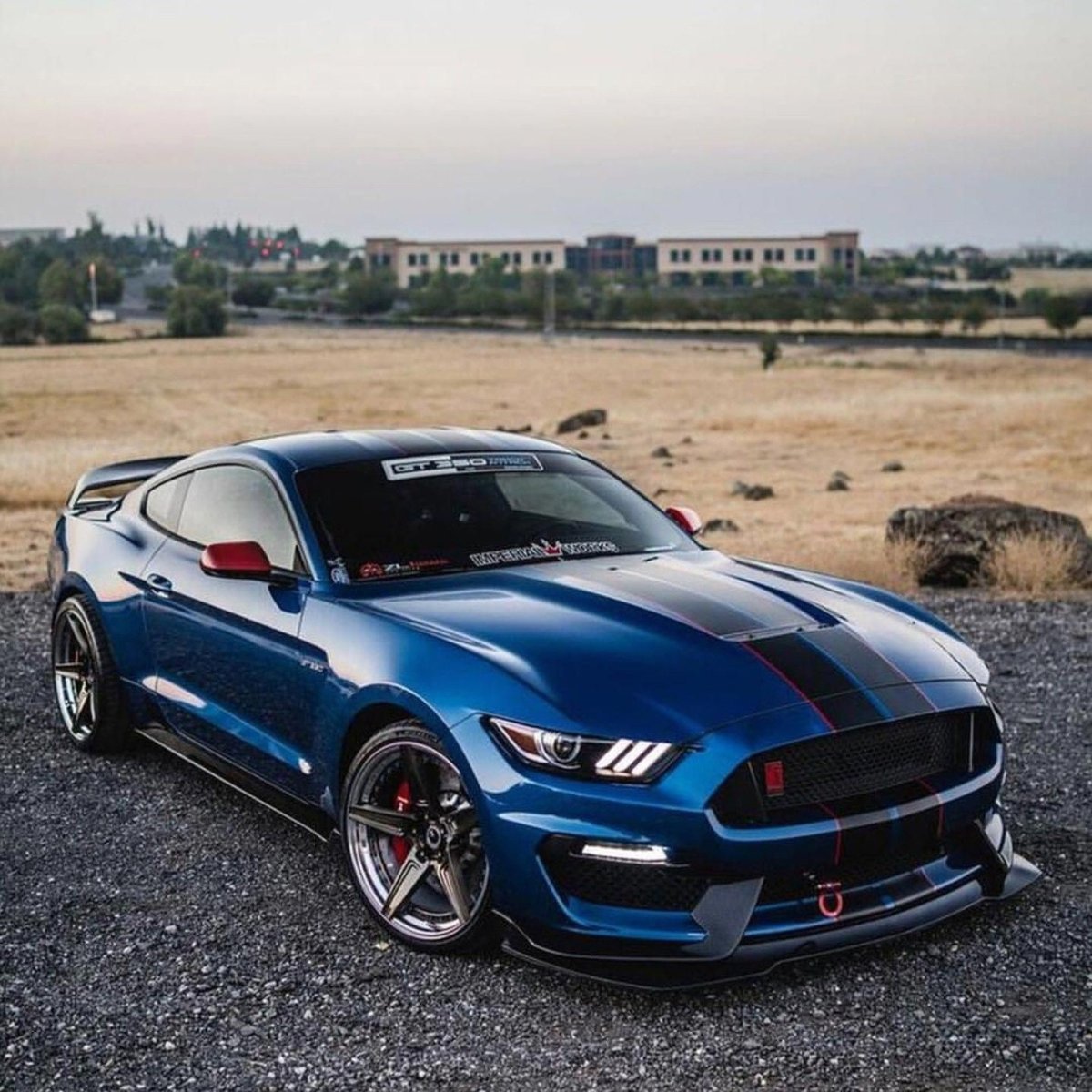 Форд Мустанг Шелби gt 350