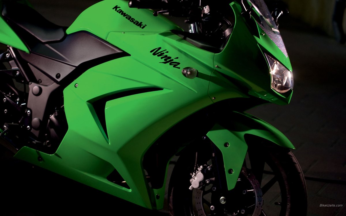 Kawasaki Ninja 250 серебристый