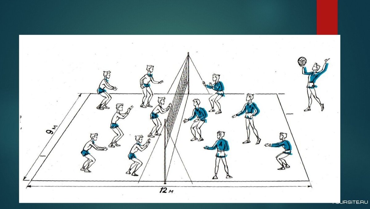 Расположение игроков на площадке в волейболе