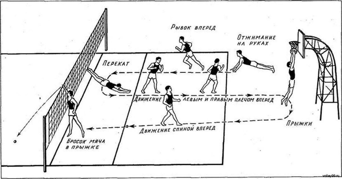 Индивидуальная тактика игры в волейболе