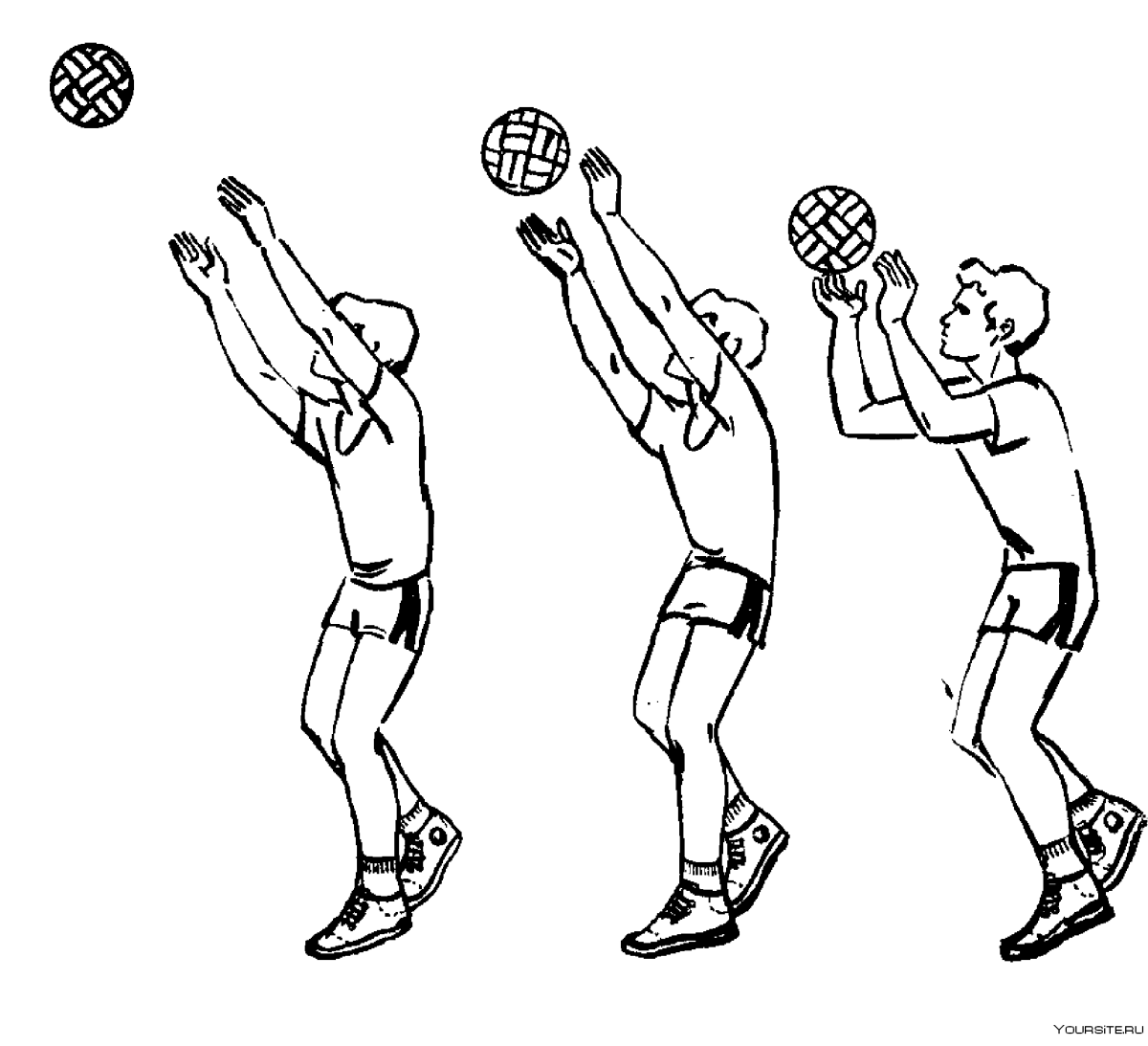 Передача мяча(сверху двумя руками ,снизу двумя руками в волейболе
