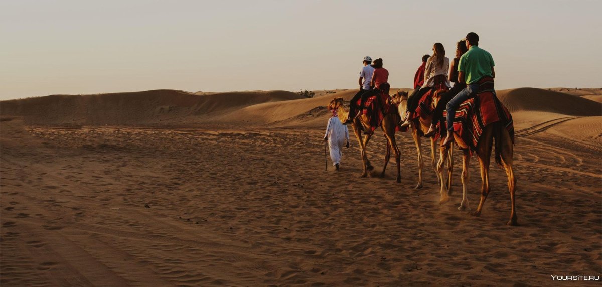 Egypt, Hurghada,Quad Safari, Camels