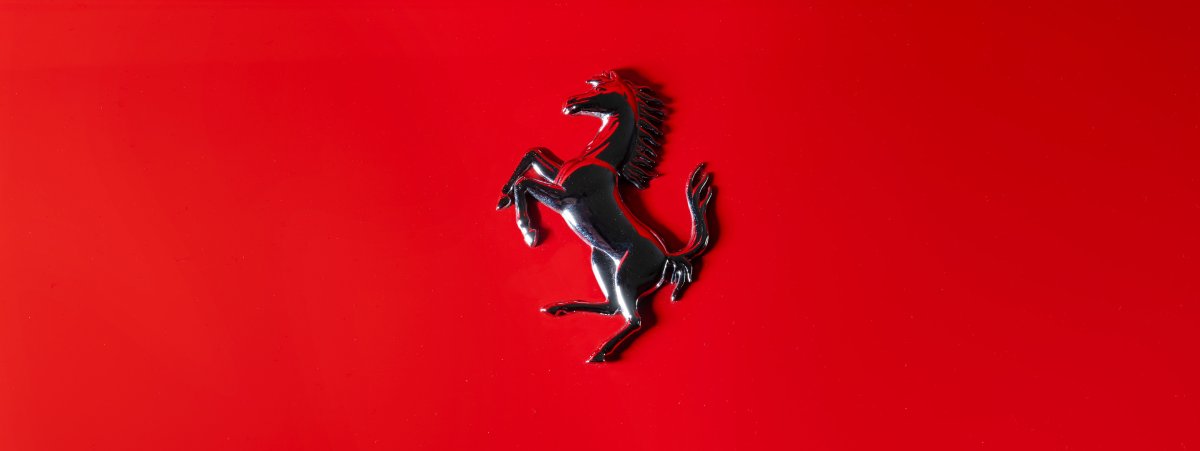 Конь обои