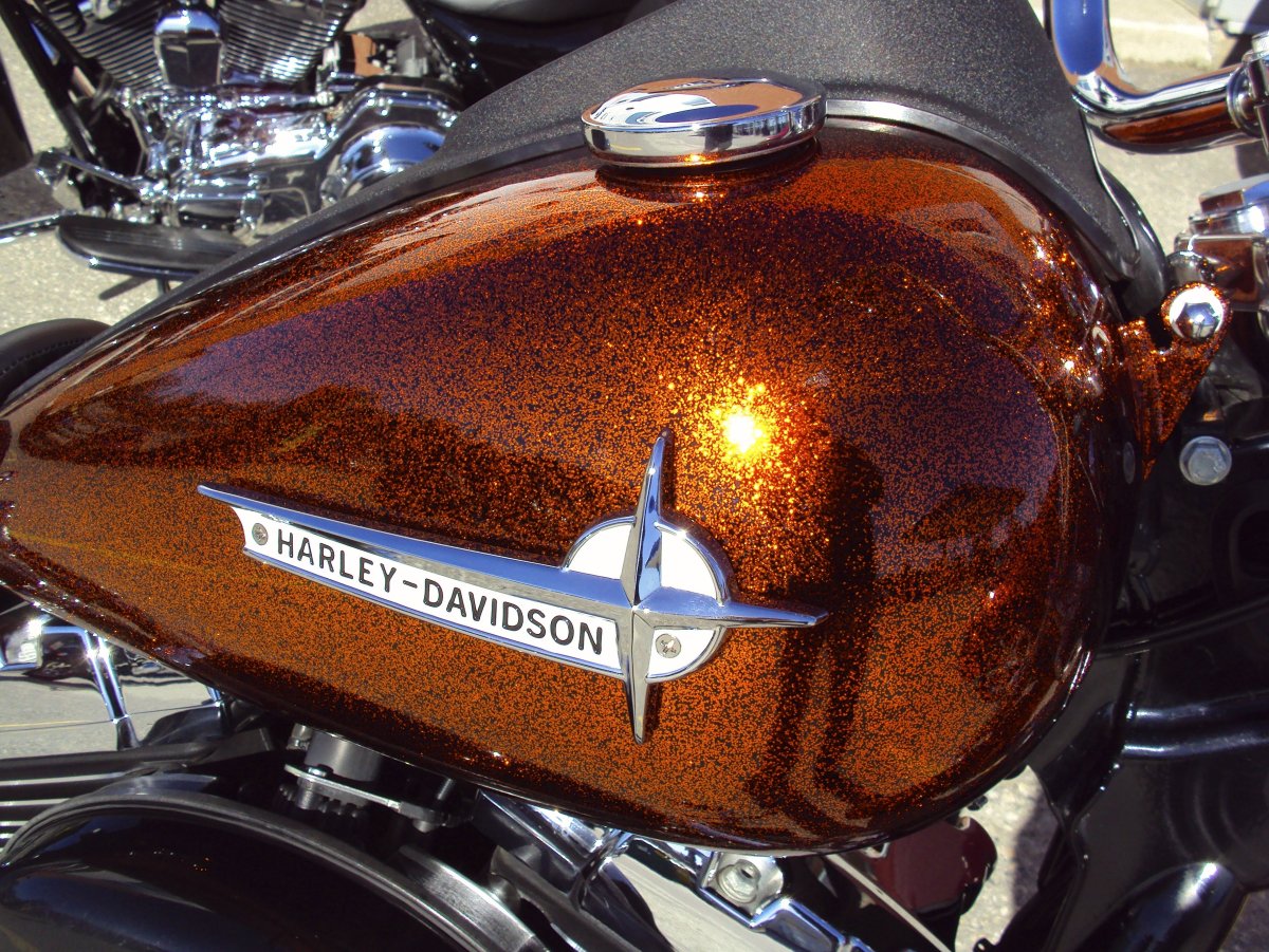 Harley Davidson daina цвет Кэнди