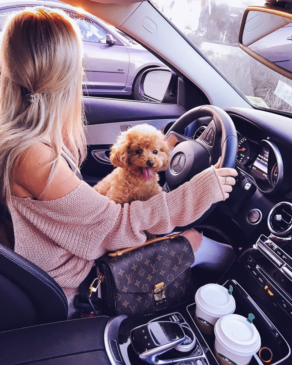 Блондинка с собачкой