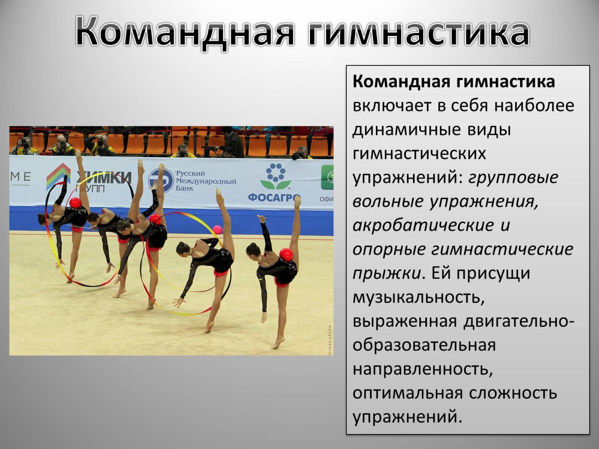 Доклад по гимнастике