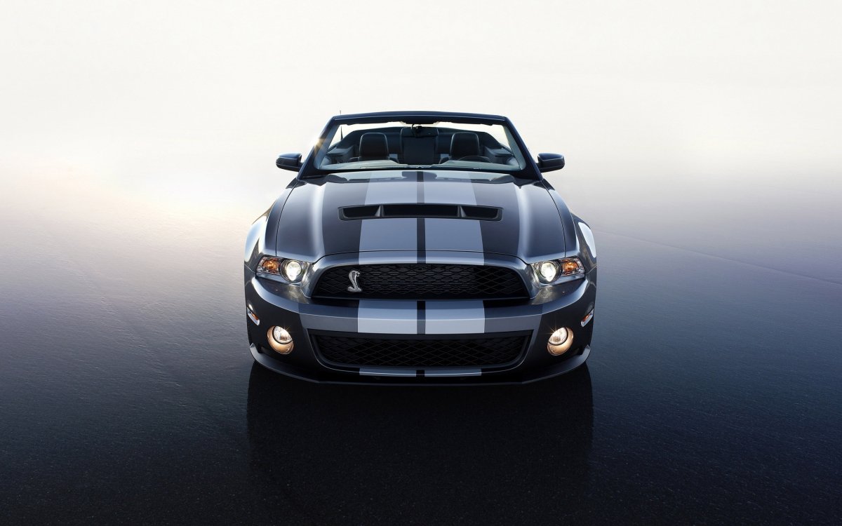 Ford Mustang Shelby gt500 2009