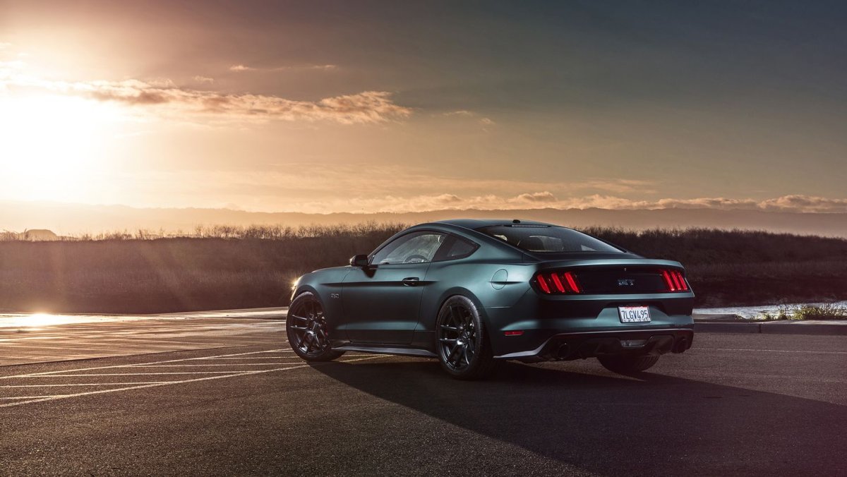 Ford Mustang gt 2015 Rear