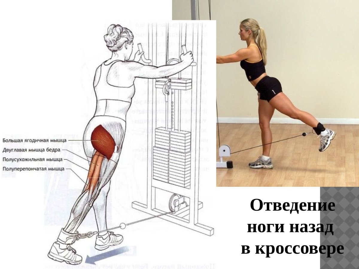 Отведение ноги назад мышцы