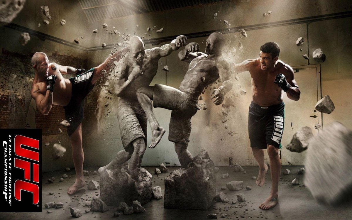 Постеры бойцов UFC
