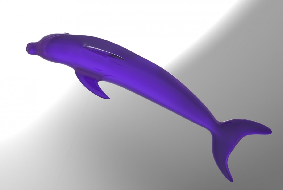 3d модели дельфина