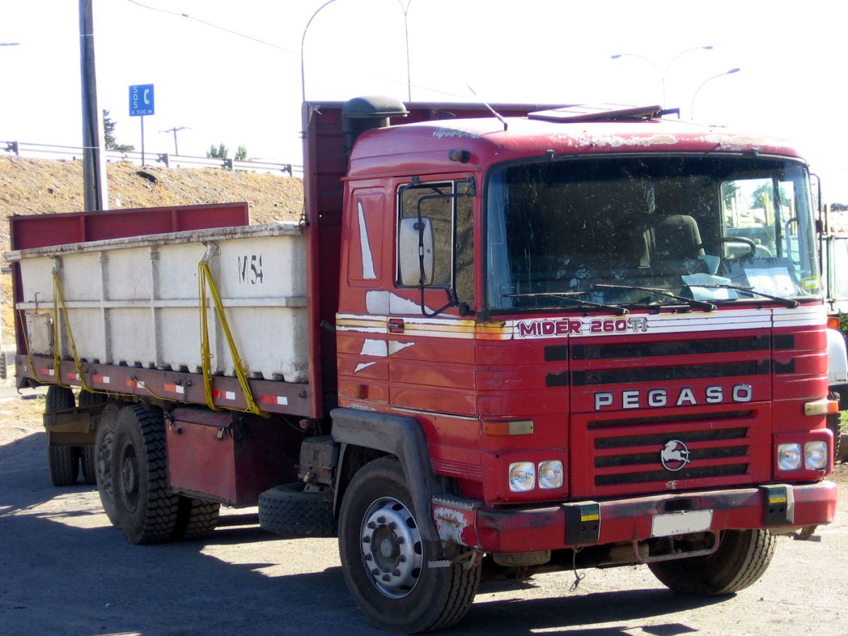 Грузовик пегасо 1210s