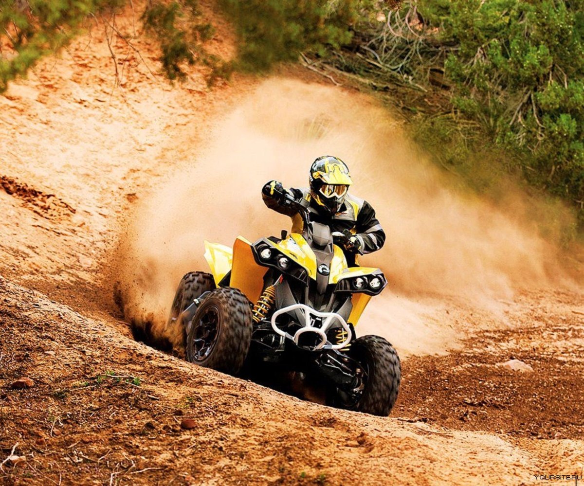 Can am Renegade 1000 atv