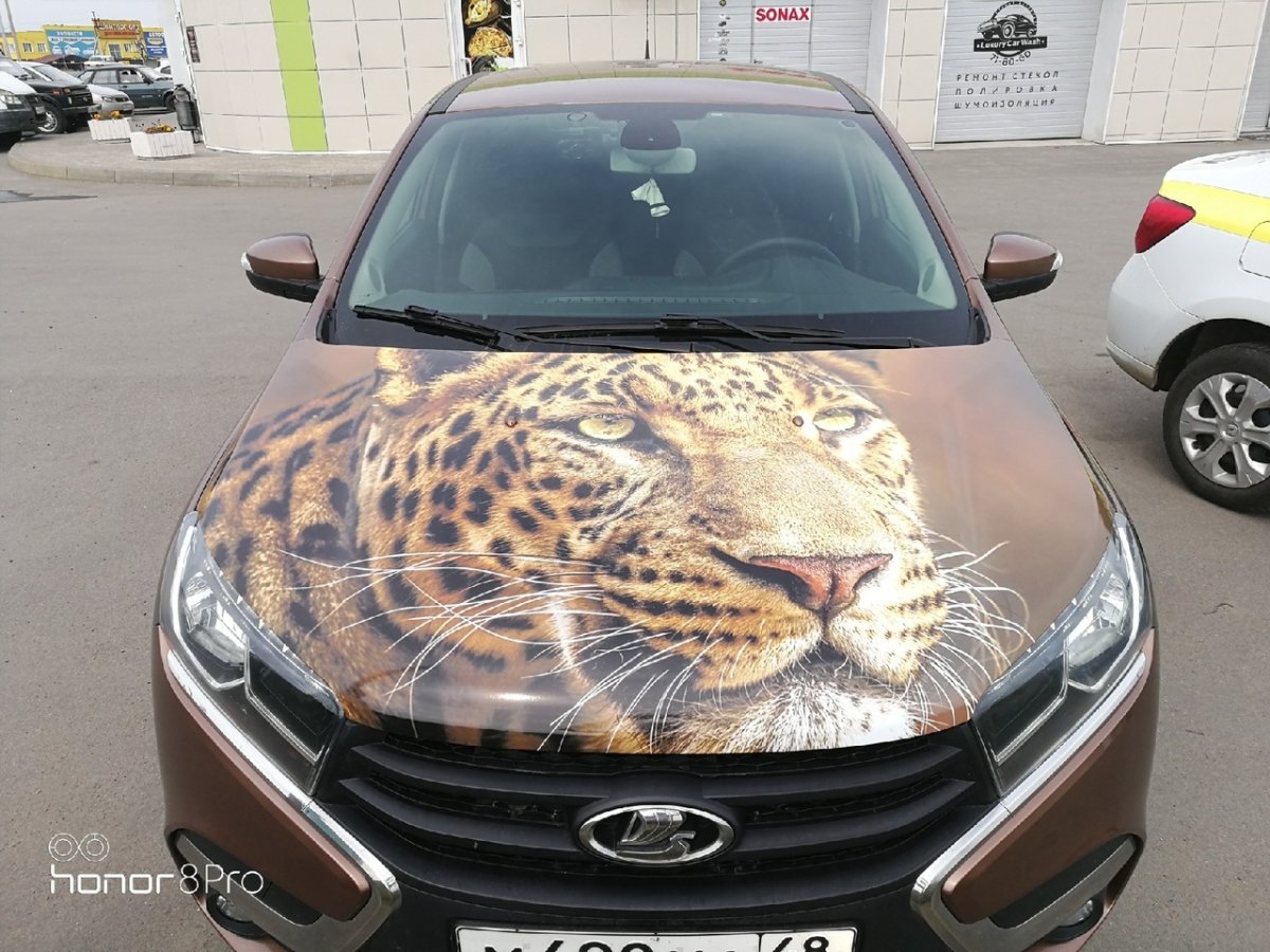 Автовинил 2020