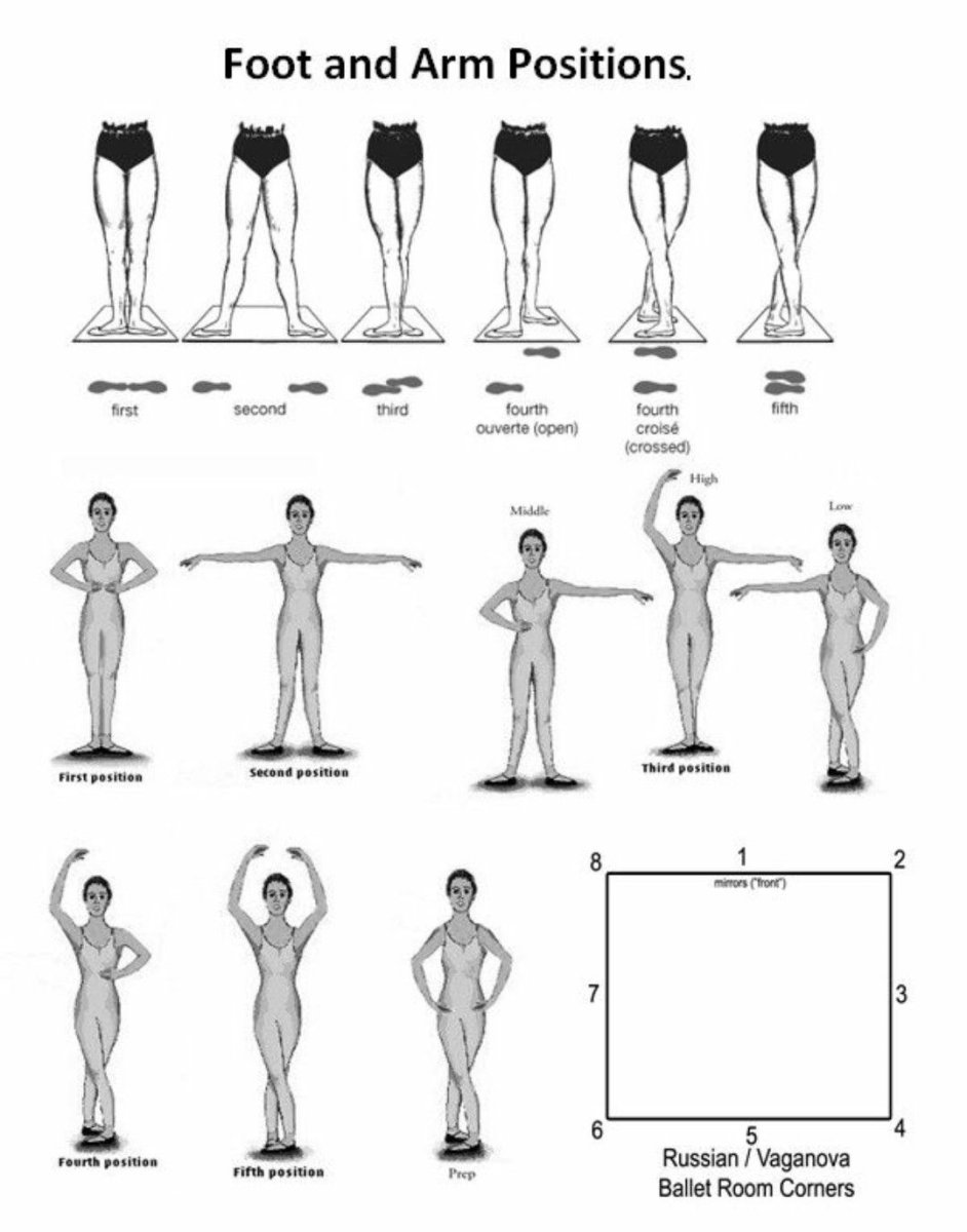 First position в балете