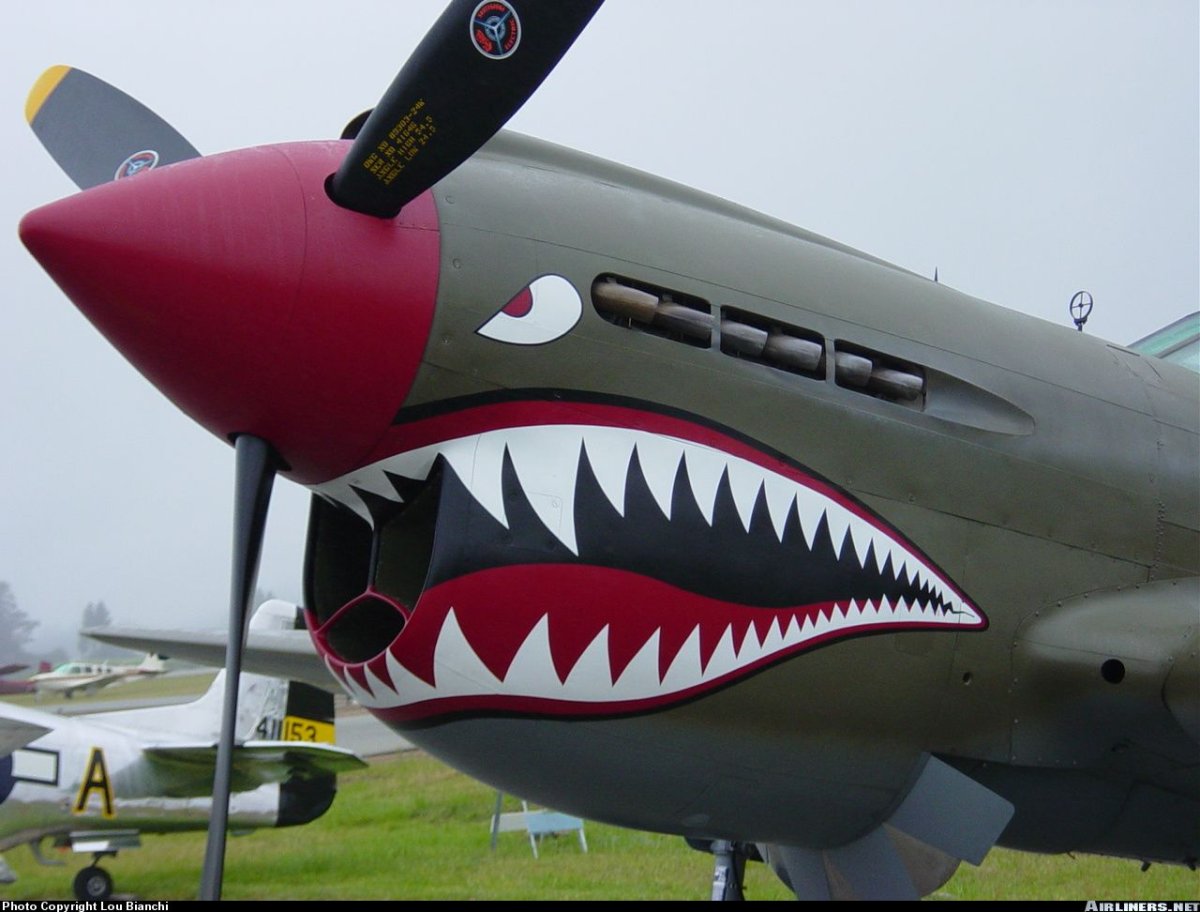 P-40 Tomahawk Art nose