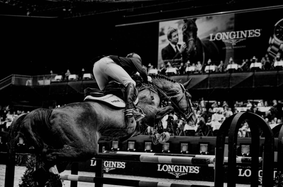 Эстетика конного спорта конкур