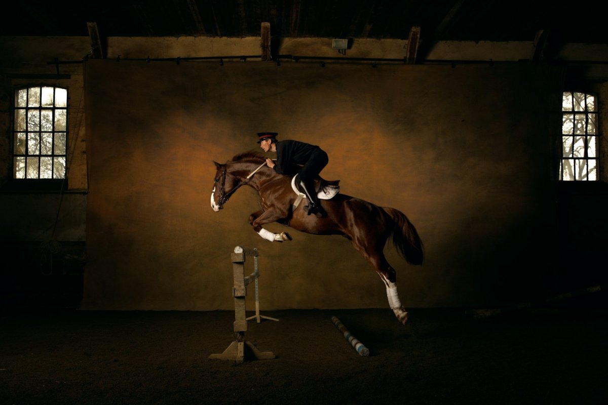 Эстетика конного спорта в прыжке