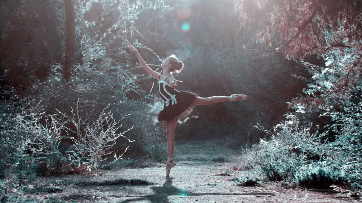 Балерина в лесу
