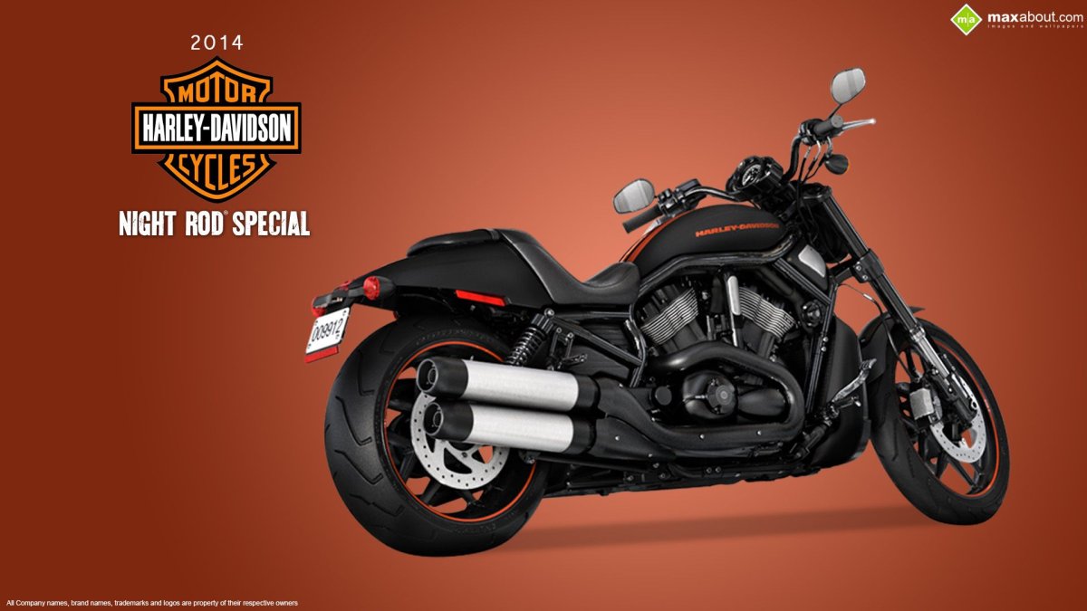 Harley Davidson v-Rod обои