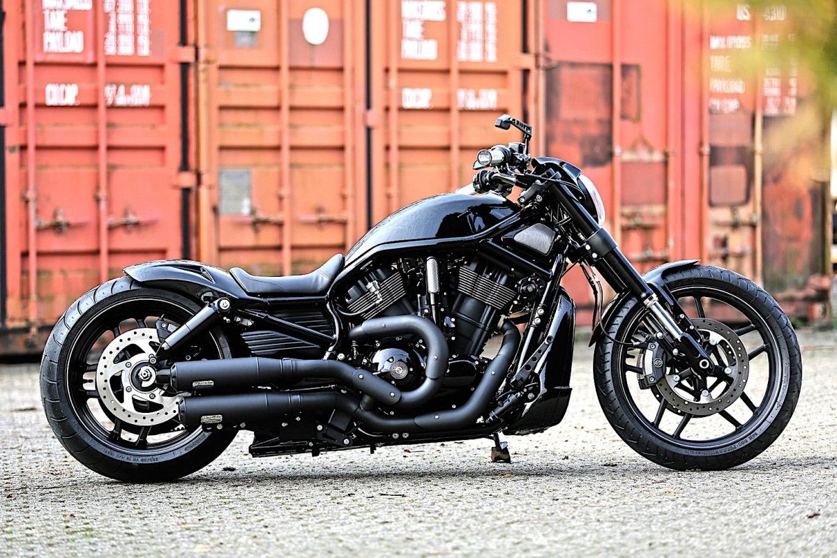 Бак Harley Davidson Night Rod