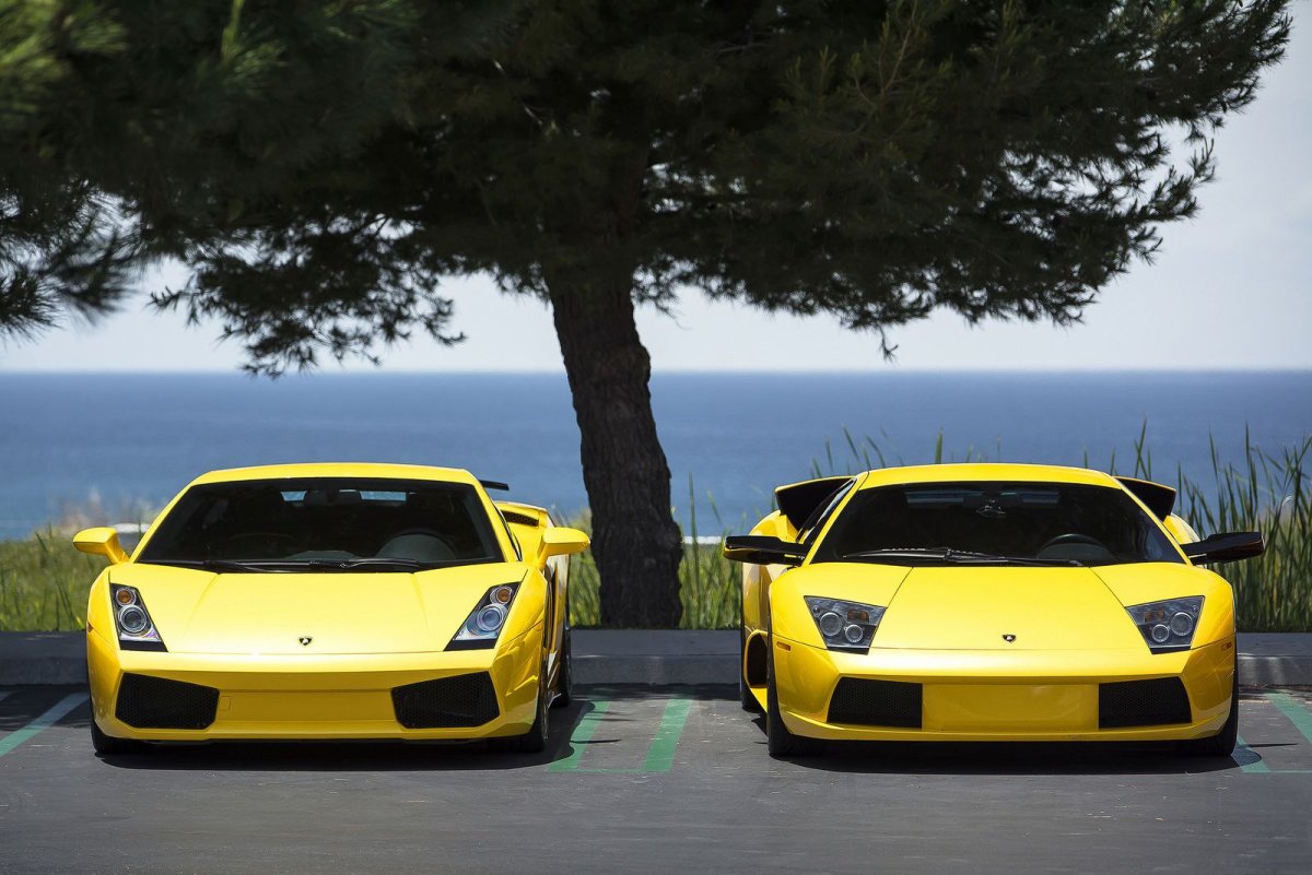 Lamborghini Murcielago и Gallardo