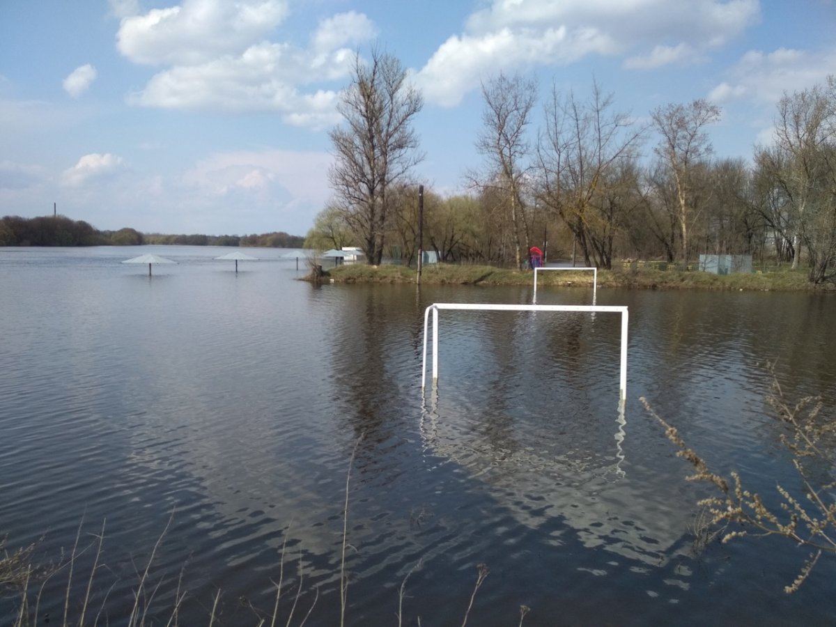 Володарский пляж Брянск