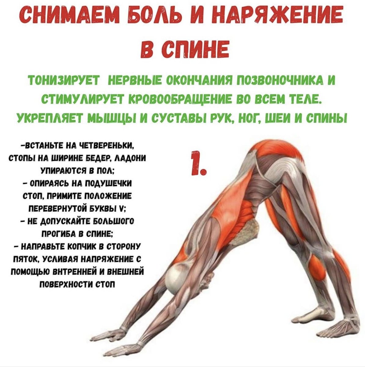 Упражнения для снятия боли в спине