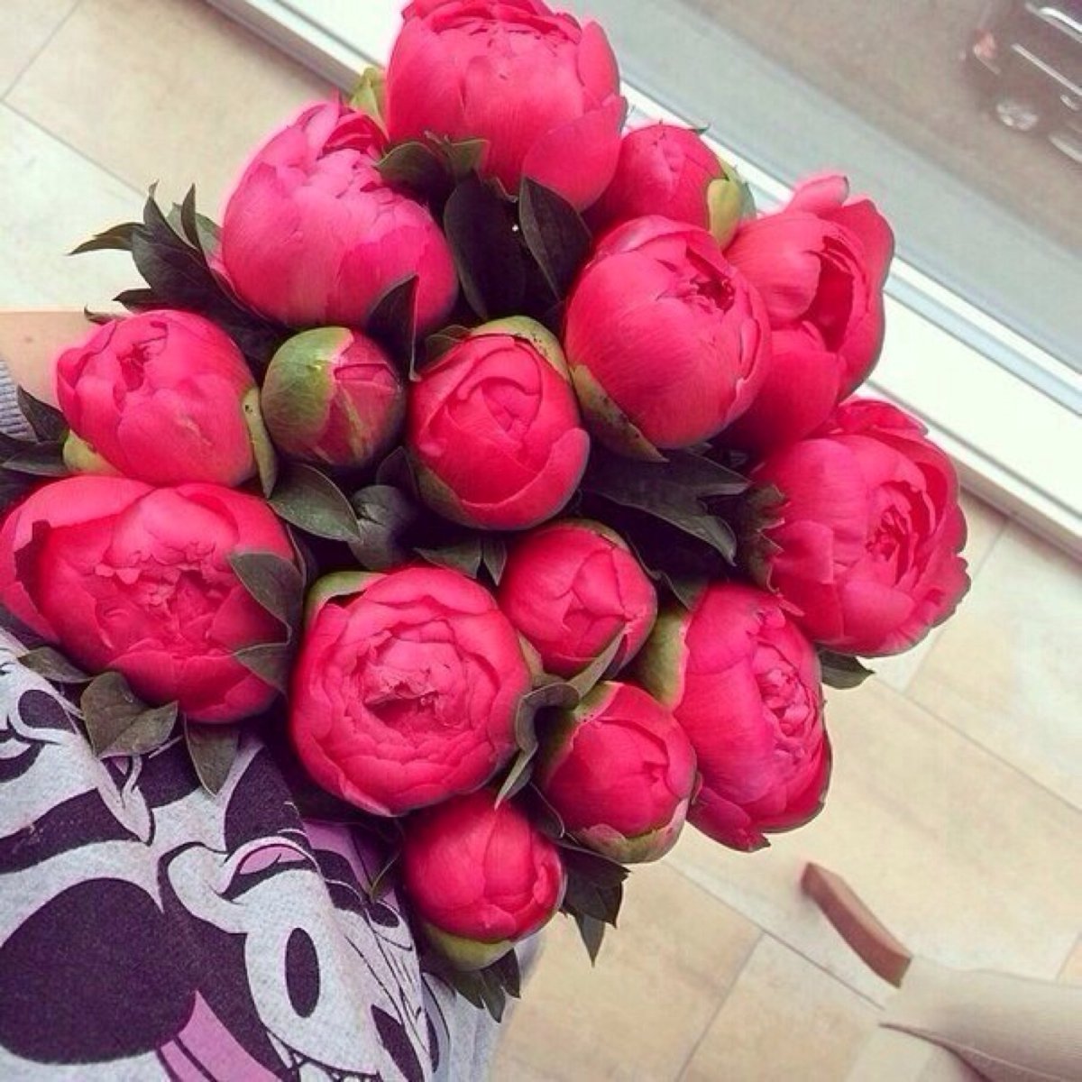 Красные пионы букет дома