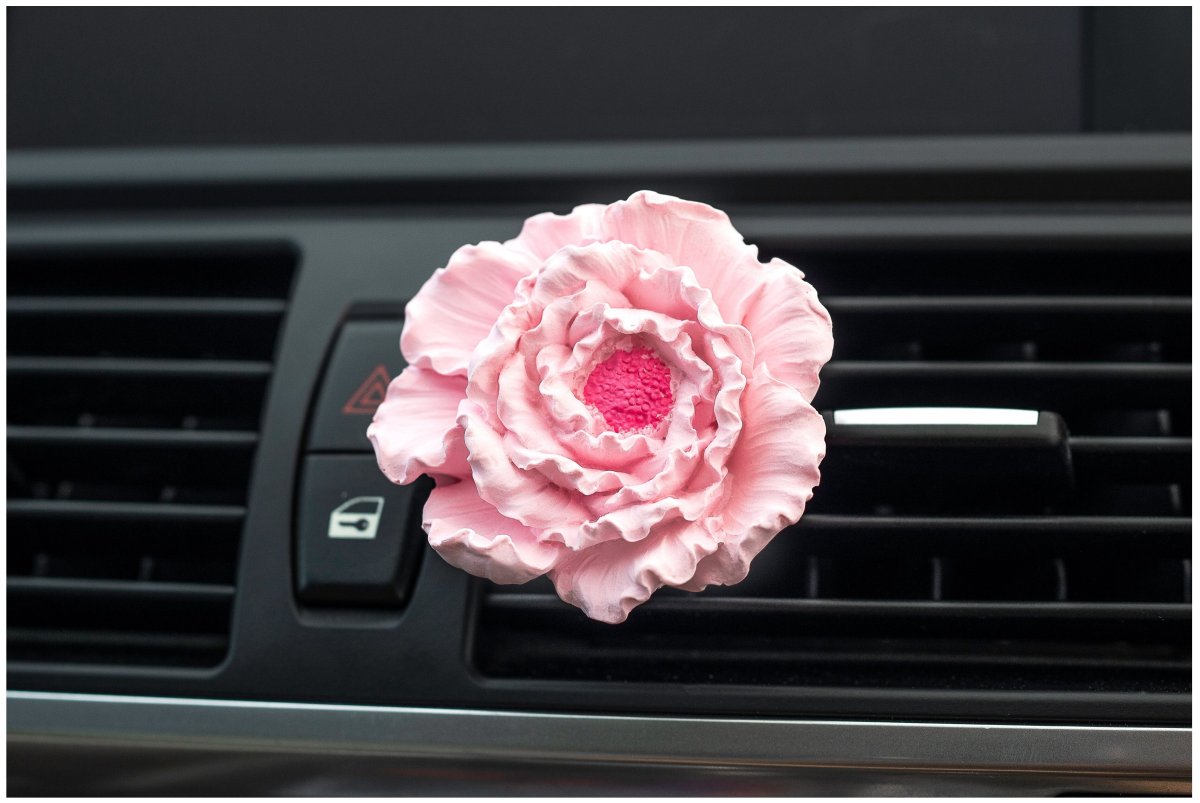 Ароматизатор Caromic