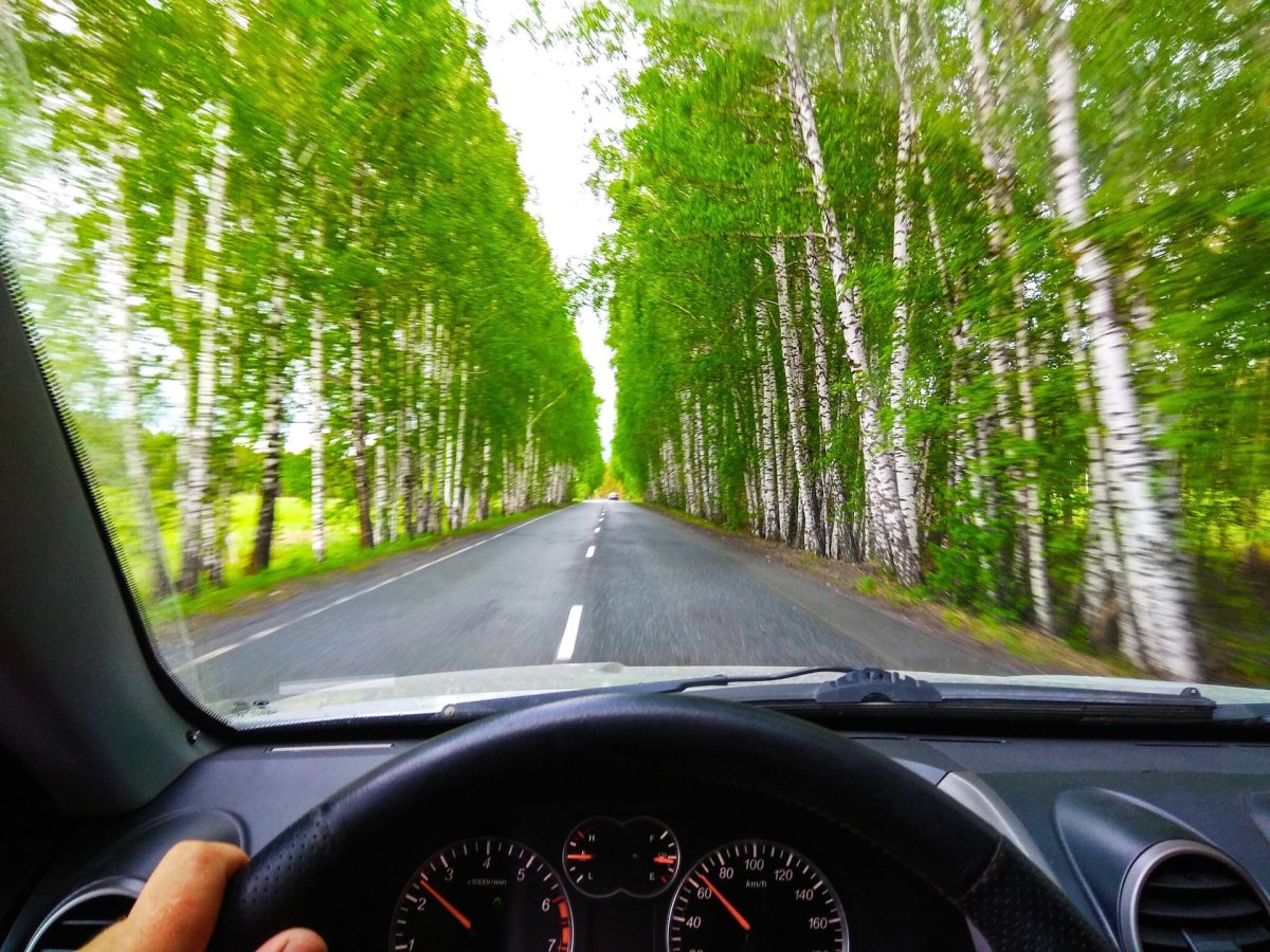 Дорога из автомобиля