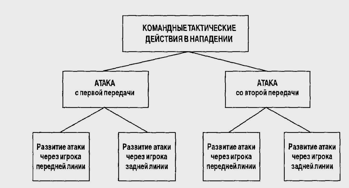 . Индивидуальные, групповые, командные тактические действия