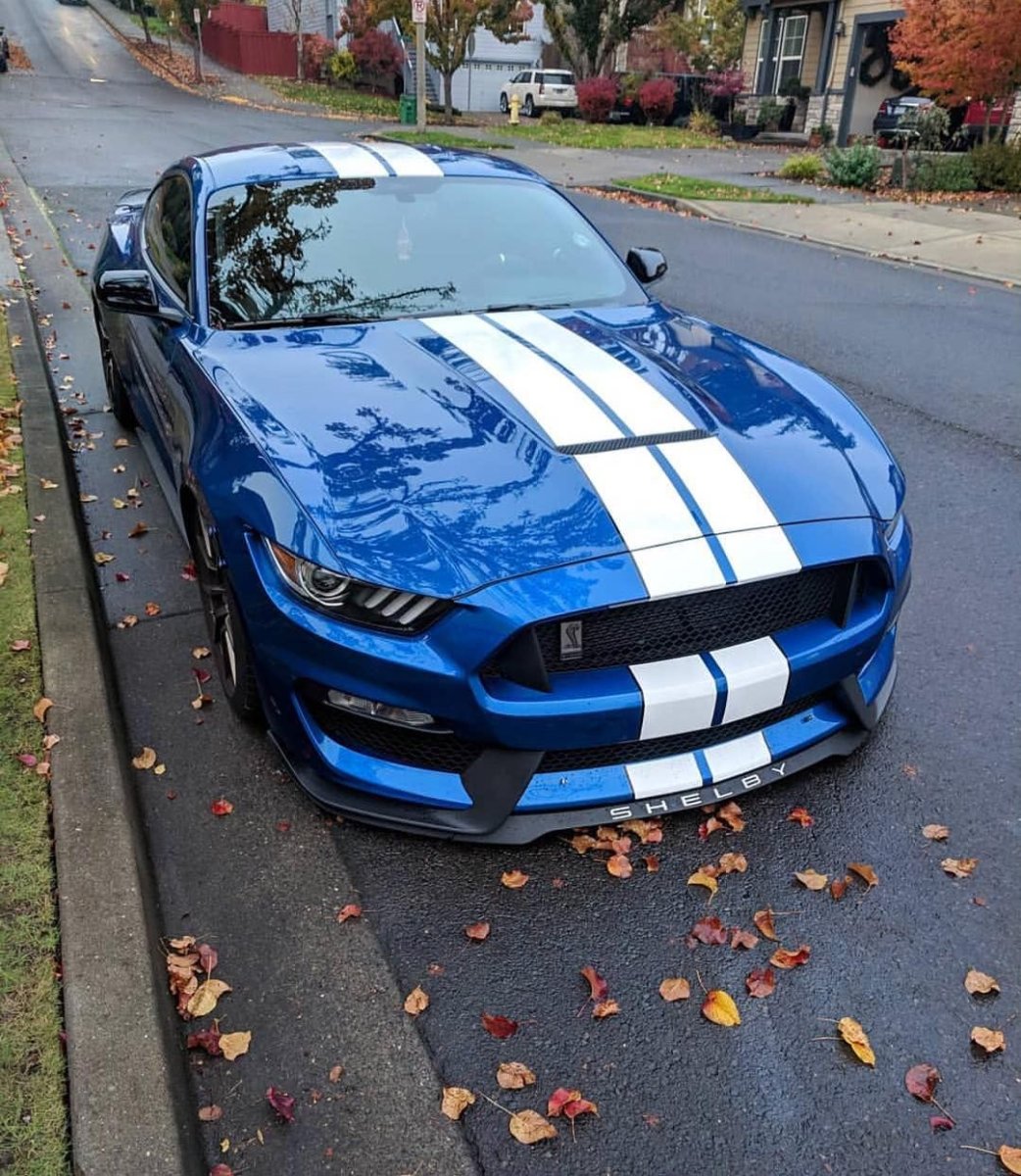 Ford Mustang Shelby gt500 винил