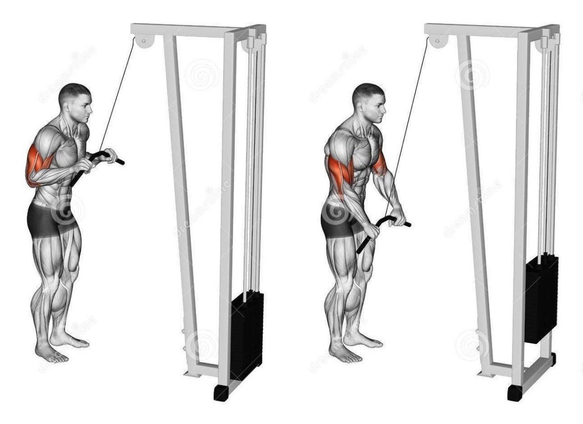 Тяга верхнего блока на трицепс
