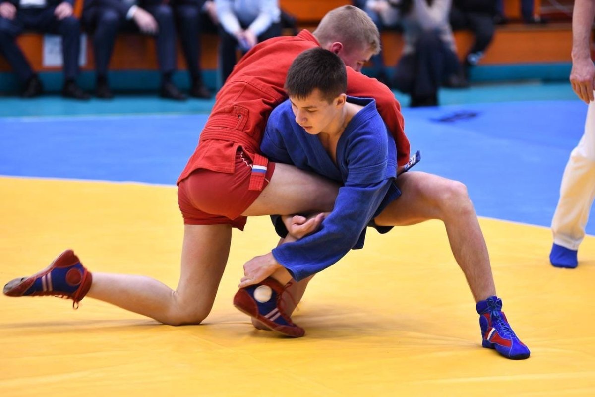 Самбо Кубок губернатора 2022