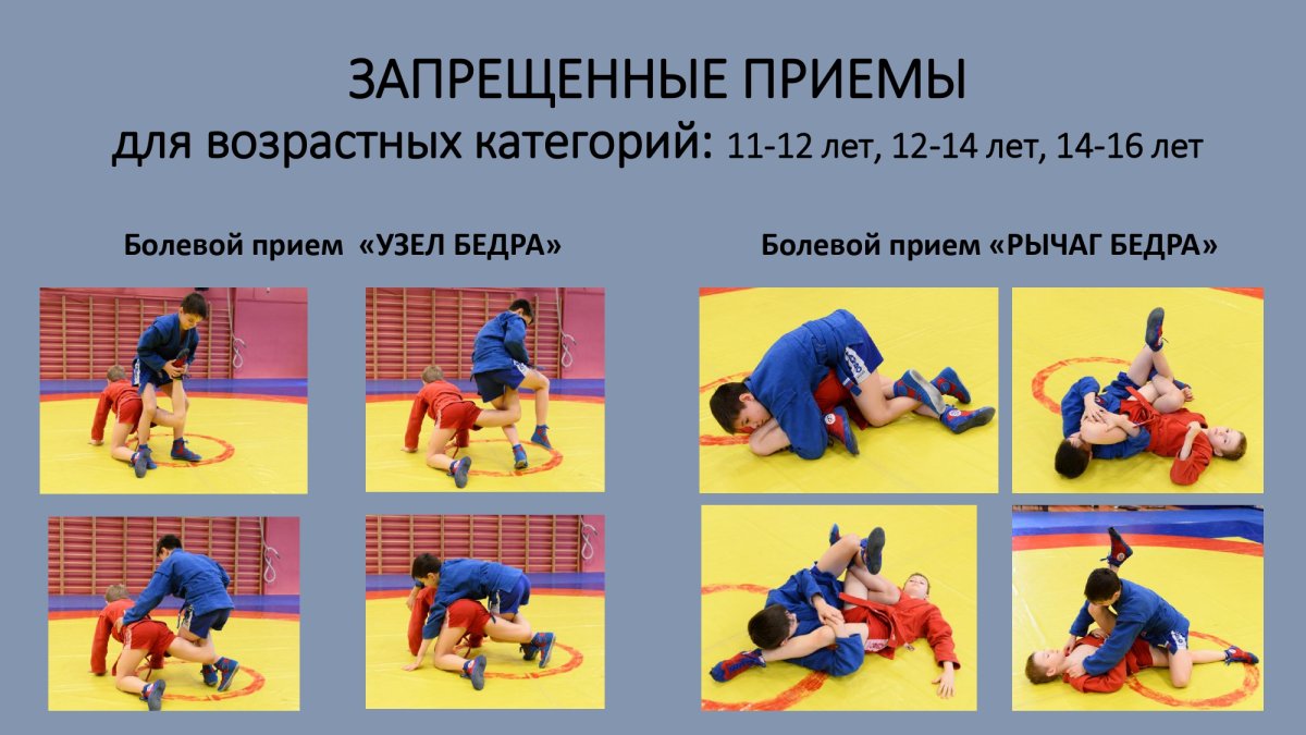 Правила самбо