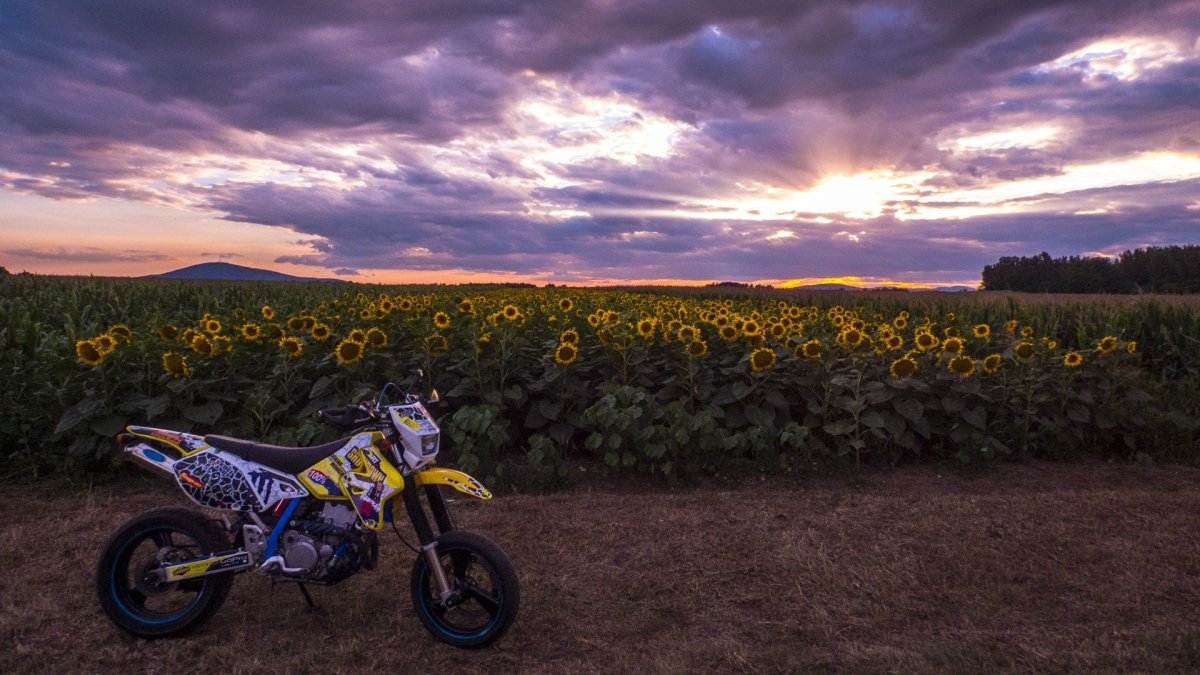 Drz400sm обои