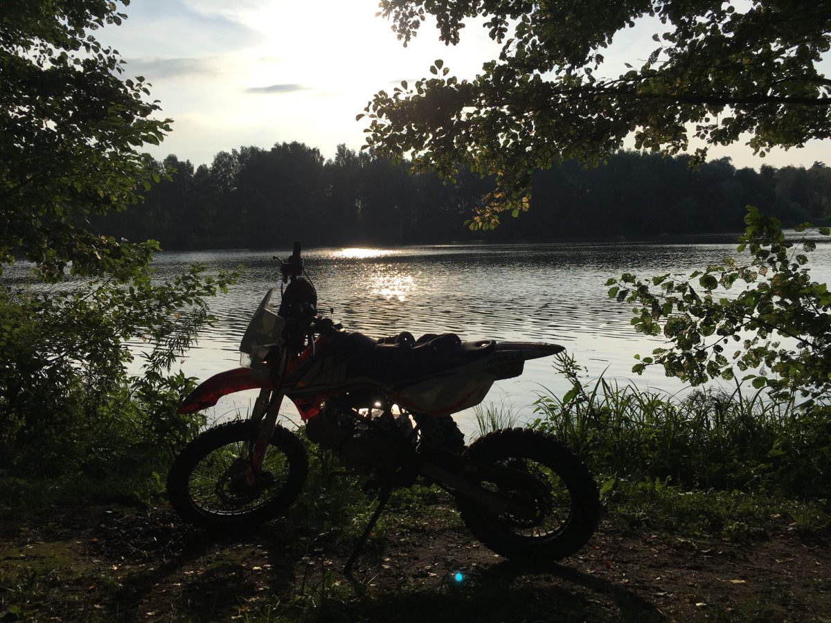 Кроссовый мотоцикл в лесу